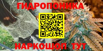 амф Тара