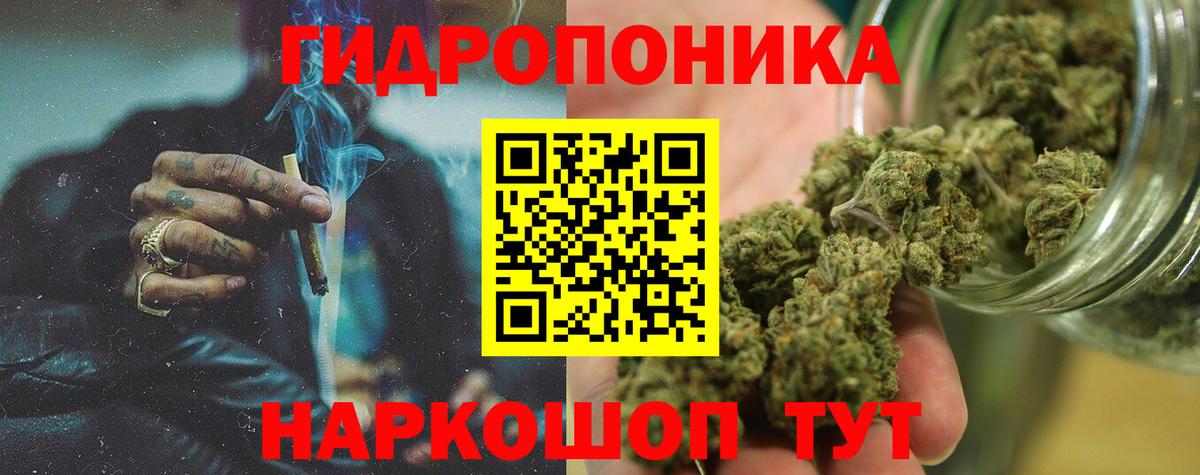 Каннабис OG Kush Чебаркуль